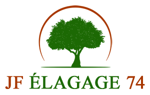 elagage-jf-elagage-74